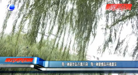 有一種陪伴叫不離不棄 有一種愛(ài)情叫共挽鹿車