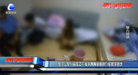 安次公安分局成功打掉利用網絡組織介紹賣淫團伙