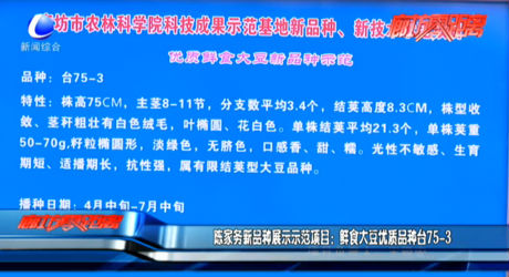 陳家務(wù)新品種展示示范項目：鮮食大豆優(yōu)質(zhì)品種臺75-3