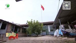安次區(qū)農(nóng)民自家院里升國(guó)旗迎國(guó)慶