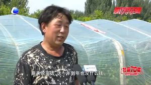 【脫貧攻堅(jiān)·廊坊在行動】脫貧攻堅(jiān)步鏗鏘 攜手并進(jìn)邁小康