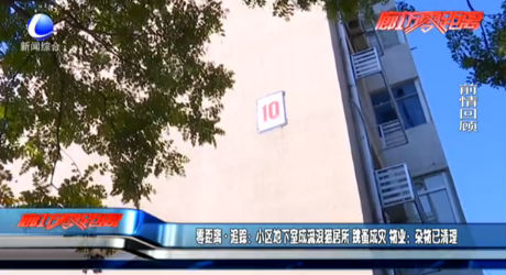 零距離·追蹤：小區(qū)地下室成流浪貓居所 跳蚤成災 物業(yè)：雜物已清理