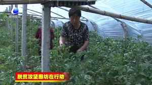 廣陽區(qū)：多措并舉 精準(zhǔn)發(fā)力 打贏脫貧攻堅戰(zhàn)