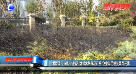 零距離·熱線：燒紙引燃綠化帶殃及廠房 企業(yè)叫苦盼焚燒點(diǎn)遷離
