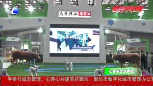 各市區(qū)域特色農(nóng)業(yè)展 以品牌展示服務(wù)交易合作