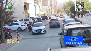 馬路變身停車場 居民希望還路于“行”