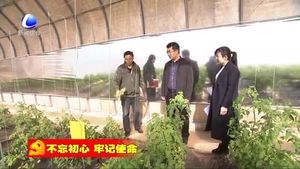 香河縣開展農(nóng)技服務(wù)促進(jìn)農(nóng)業(yè)增效