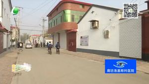 文安縣麻各莊村以主題教育促鄉(xiāng)村風貌大提升