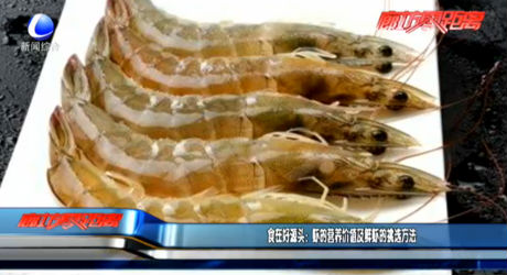 食在好源頭：蝦的營養(yǎng)價(jià)值及鮮蝦的挑選方法