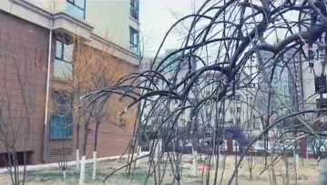 期待一場(chǎng)屬于冬天的瑞雪