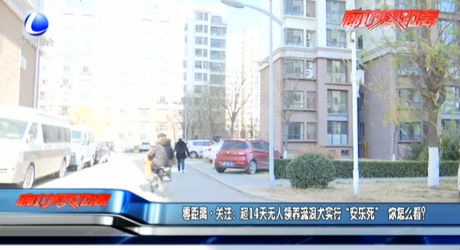 零距離·關(guān)注：超14天無人領(lǐng)養(yǎng)流浪犬實行“安樂死” 你怎么看？