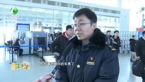 春運高峰 謹防搶票軟件套路