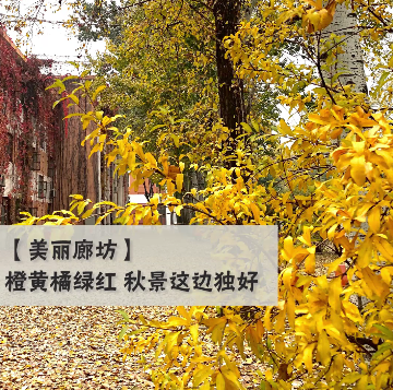 無證酒駕心存僥幸 交警路查嚴懲不貸