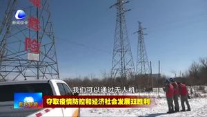 國網(wǎng)廊坊供電公司加強(qiáng)線路巡檢 防疫供電兩不誤
