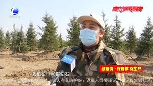 春回大地 栽植新綠正當(dāng)時