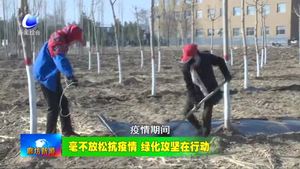 我市各地搶抓春季有利時節(jié) 植樹造林美化家園