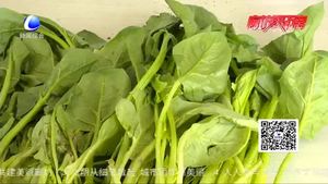 食在好源頭——菠菜的營養(yǎng)價值