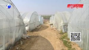 二十四節(jié)氣：谷雨至 暮春到 農(nóng)耕田園知多少