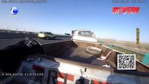 車上小羊“撒”滿高速 交警及時(shí)出動(dòng)治理