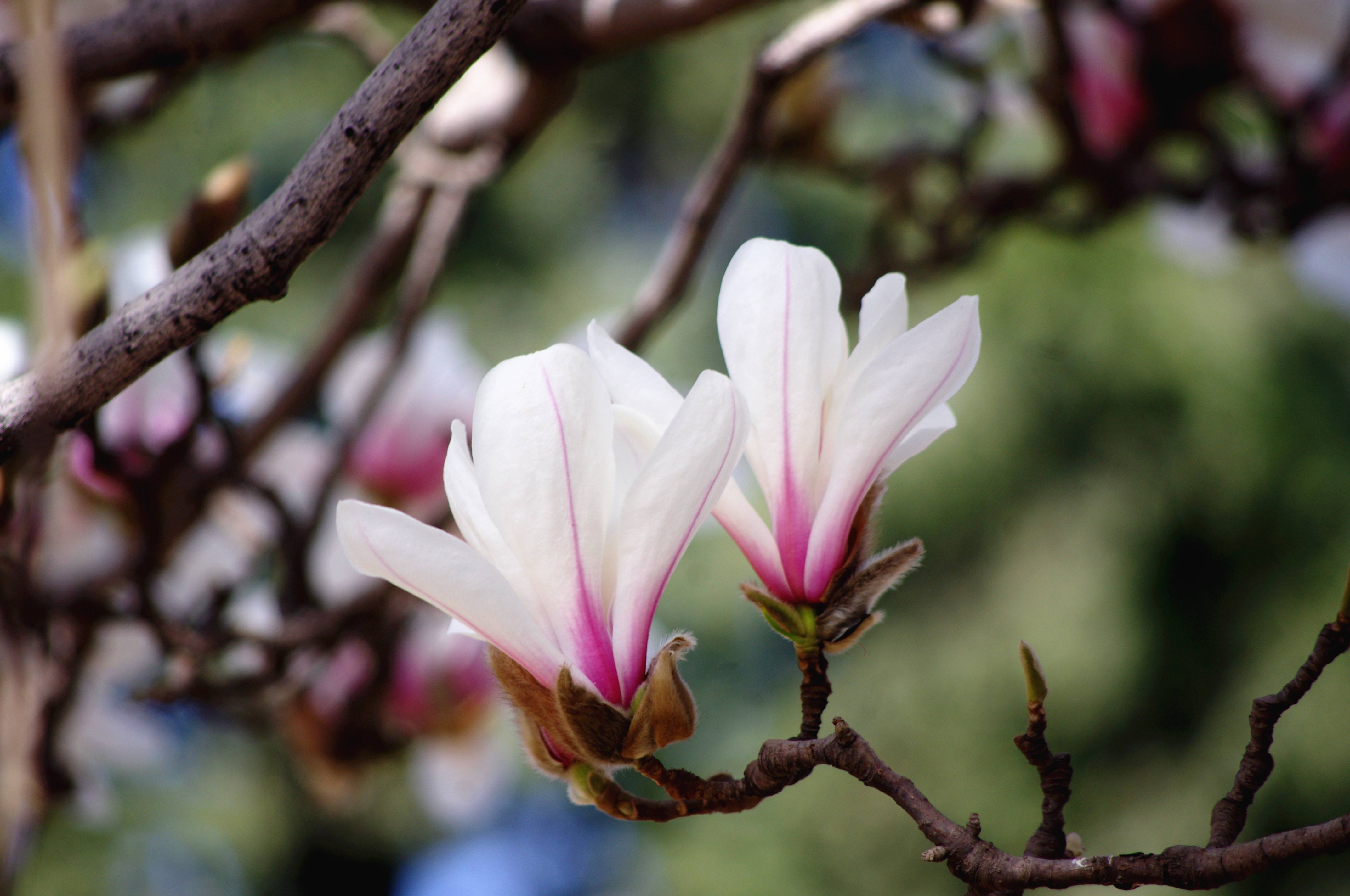 廣播劇《非常冬季》完整版