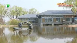 第51個世界地球日：讓我們用實際行動告白地球