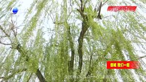 城市環(huán)境共同維護 市容整治人人有責