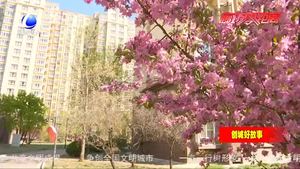 社區(qū)志愿者白恩香 組織居民義務清理小區(qū)寵物糞便