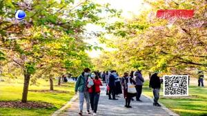 皮膚科專家教你如何預防皮膚過敏