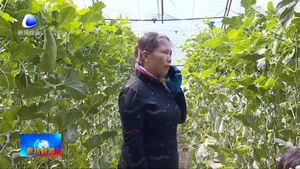 邢磊：做良心糕點 講誠信經(jīng)營