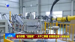 奮力奪取“雙勝利”·大干二季度 實(shí)現(xiàn)雙過(guò)半一把手訪(fǎng)談：大城縣委書(shū)記