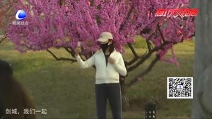 【曝光臺】假期游園 請拒絕“不文明行為”