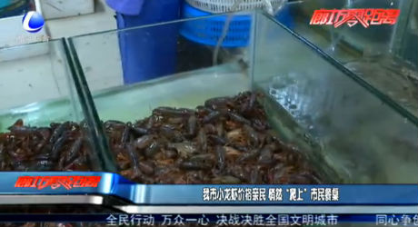 我市小龍蝦價(jià)格親民 悄然“爬上”市民餐桌