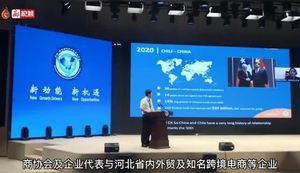 “5·18”經(jīng)洽會“京津冀全球電子商務合作線上對接會”