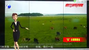 “云”主播聊展會：“線上河北優(yōu)質農(nóng)產(chǎn)品展”驚艷亮相