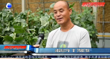 小甜瓜創(chuàng)出大產(chǎn)業(yè) “甜”了市場富了農(nóng)民