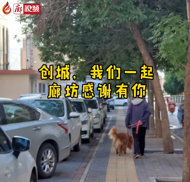 廊視頻 | “創(chuàng)城，我們一起”廊坊感謝有你