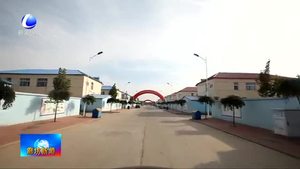 我市高標(biāo)準(zhǔn)推進鄉(xiāng)村振興示范區(qū)建設(shè)