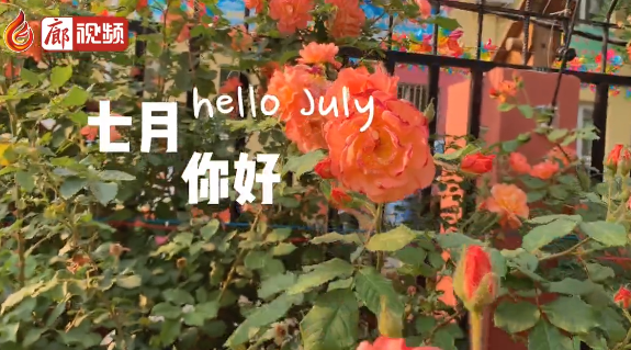 廊視頻 | 六月再見，七月你好