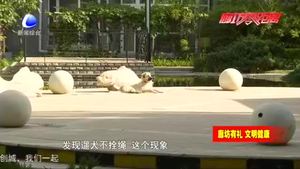 我市開展“文明養(yǎng)犬、愛護環(huán)境”行動  加強養(yǎng)犬管理提升城市形象