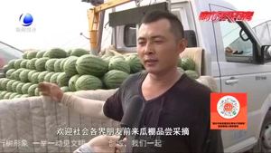 【走向我們的小康生活·幸福來(lái)敲門】固安縣北趙二村特色種植助農(nóng)增收 西瓜藤上結(jié)出“致富果”