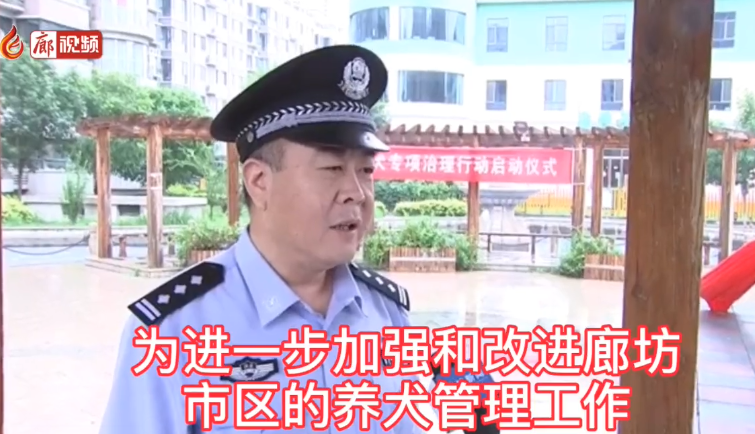 廊視頻 | 廊坊市公安局開(kāi)展違規(guī)養(yǎng)犬專(zhuān)項(xiàng)治理行動(dòng)