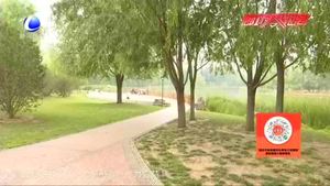 婚姻之中的AA制 您怎么看？