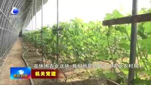 市農(nóng)業(yè)農(nóng)村局第五黨支部：發(fā)揮黨員先鋒模范作用 保障農(nóng)業(yè)平穩(wěn)發(fā)展