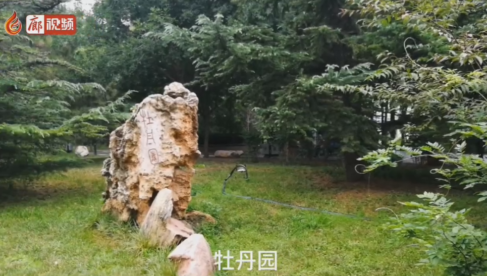 廊視頻 | 永興路與愛(ài)民西道交口～牡丹園