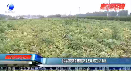 香河縣鉗屯鎮(zhèn)推進特色農(nóng)業(yè)發(fā)展 助力鄉(xiāng)村振興