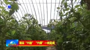 興蘆集團(tuán)：廣開思路促創(chuàng)新 升級改造固發(fā)展