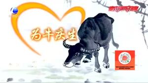 我們的節(jié)日·七夕：獨具魅力的中國情人節(jié)