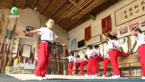 非遺傳承——?jiǎng)俜兼?zhèn)泉樂武術(shù)會(huì)“武德至上 已善為根”