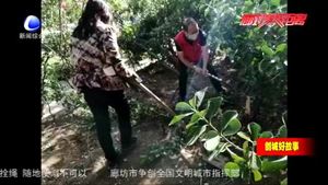 老樓長靳庭賢 74歲堅持為街坊服務(wù)