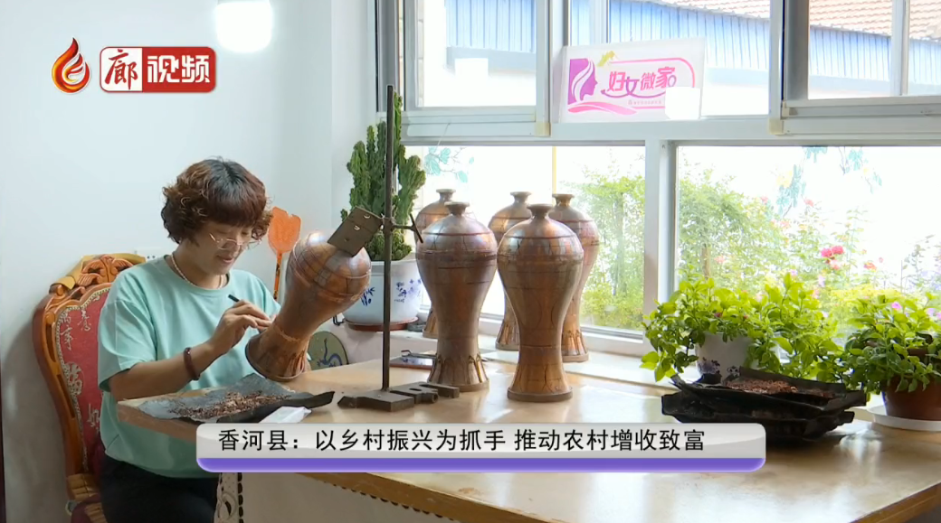 廊視頻|香河縣：以鄉(xiāng)村振興為抓手 推動農(nóng)村增收致富